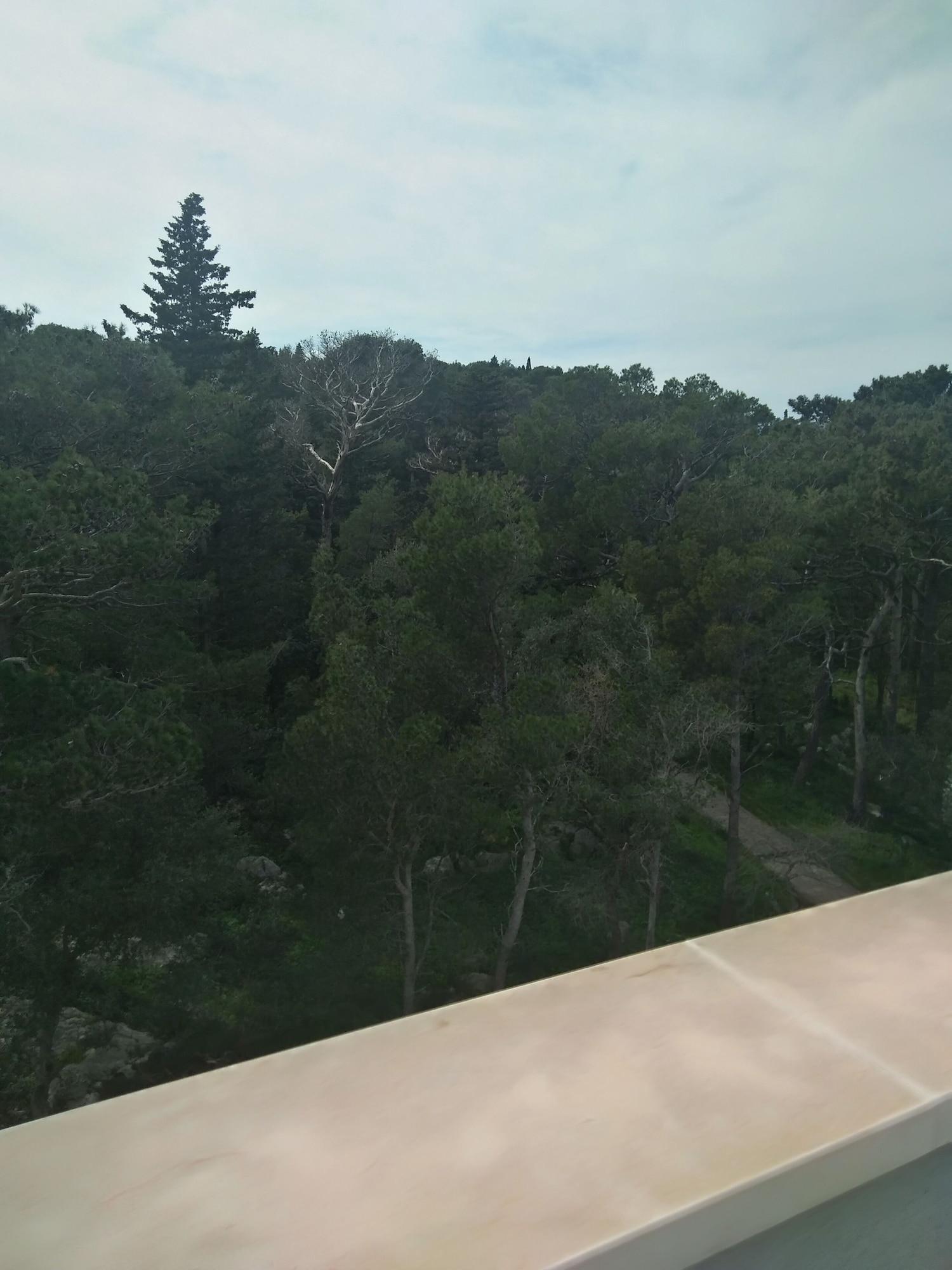 Hotel Miramare Makarska